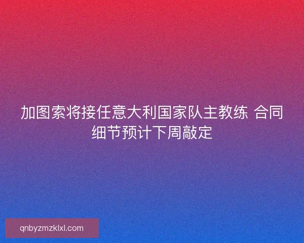 加图索将接任意大利国家队主教练 合同细节预计下周敲定