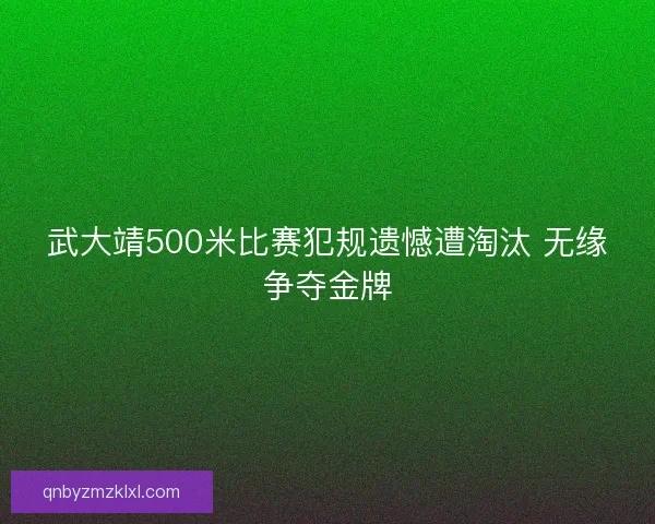 武大靖500米比赛犯规遗憾遭淘汰 无缘争夺金牌