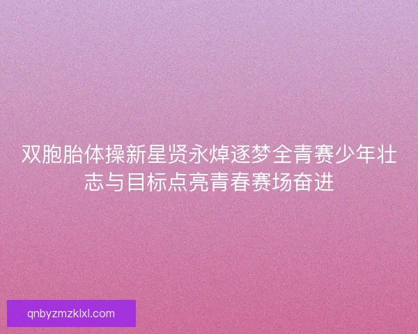 双胞胎体操新星贤永焯逐梦全青赛少年壮志与目标点亮青春赛场奋进