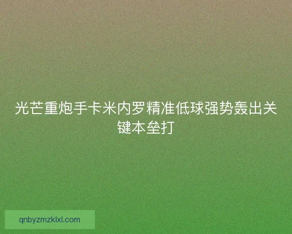 光芒重炮手卡米内罗精准低球强势轰出关键本垒打 光芒重炮手卡米内罗精准低球强势轰出关键本垒打