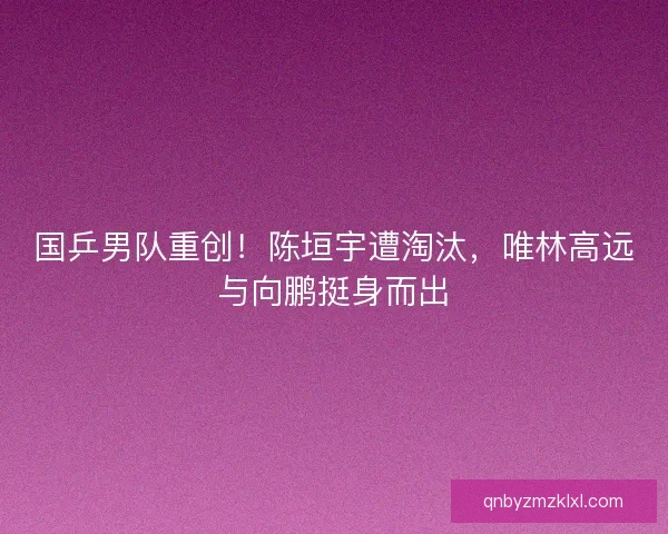 国乒男队重创!陈垣宇遭淘汰,唯林高远与向鹏挺身而出 国乒男队重创!陈垣宇遭淘汰,唯林高远与向鹏挺身而出